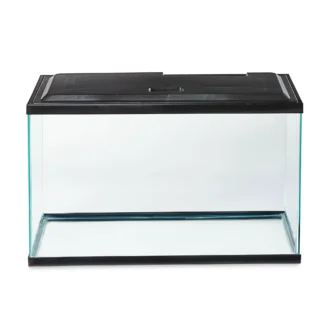 Aqua Culture 10-Gallon Glass Aquarium Starter Kit